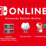 Подписка на Nintendo Switch Online / Expansion на 12 месяцев