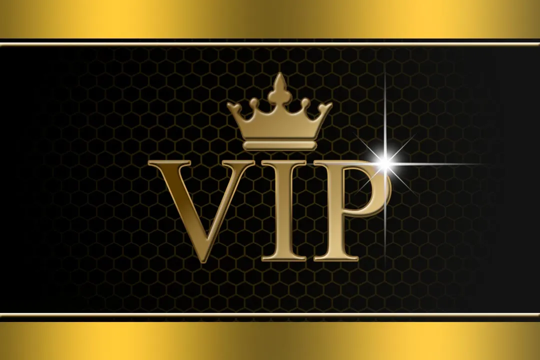 Random ViP Steam Key