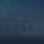 HELLDIVERS 2 Steam РУ со сменой регио+UA