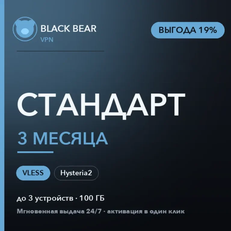 Black Bear VPN Стандартный 3 месяца VLESS и Hysteria2