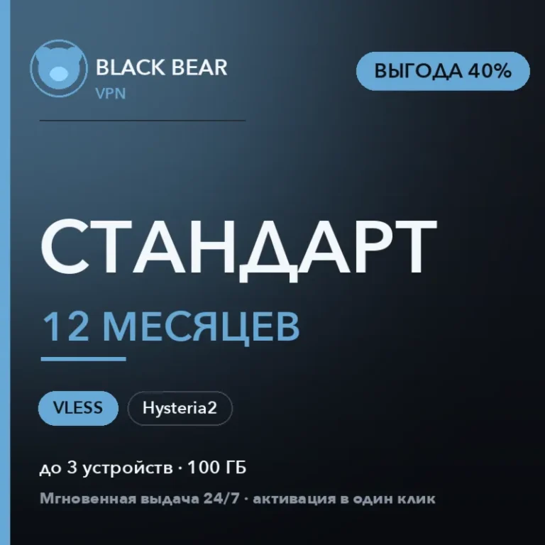 Black Bear VPN Стандартный 12 месяцев VLESS и Hysteria2