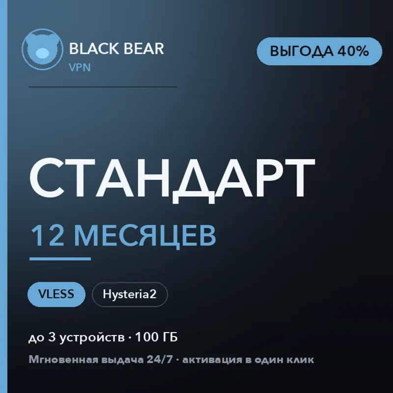 Black Bear VPN Стандартный 12 месяцев VLESS и Hysteria2