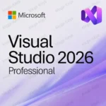 Microsoft Visual Studio Pro 2026 Партнер Microsoft Купить лицензионный ключ