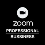 Zoom Pro/Bussiness 1-12 мес