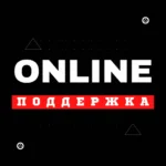 Zoom Pro/Bussiness 1-12 мес