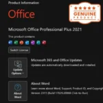 MICROSOFT OFFICE 2021 PRO PLUS ПОЖИЗНЕННАЯ
